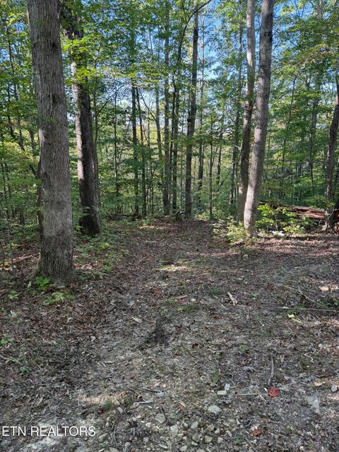 Tiny photo for 500 Armstrong Lane, Monterey, TN 38574 (MLS # 1317767)
