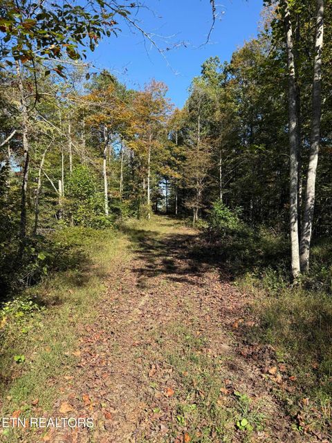 Tiny photo for 500 Armstrong Lane, Monterey, TN 38574 (MLS # 1317767)