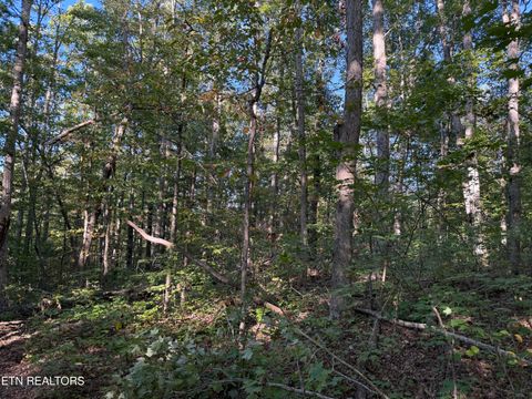 Tiny photo for 500 Armstrong Lane, Monterey, TN 38574 (MLS # 1317767)