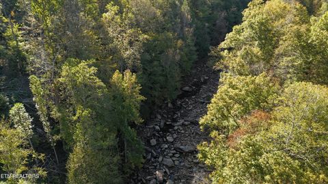 Tiny photo for 500 Armstrong Lane, Monterey, TN 38574 (MLS # 1317767)