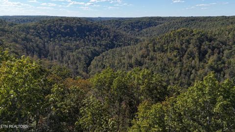 Tiny photo for 500 Armstrong Lane, Monterey, TN 38574 (MLS # 1317767)