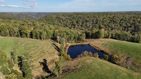 Tiny photo for 500 Armstrong Lane, Monterey, TN 38574 (MLS # 1317767)