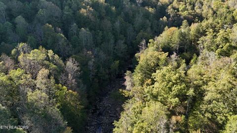 Tiny photo for 500 Armstrong Lane, Monterey, TN 38574 (MLS # 1317767)