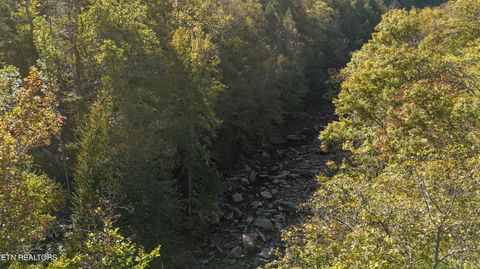 Tiny photo for 500 Armstrong Lane, Monterey, TN 38574 (MLS # 1317767)