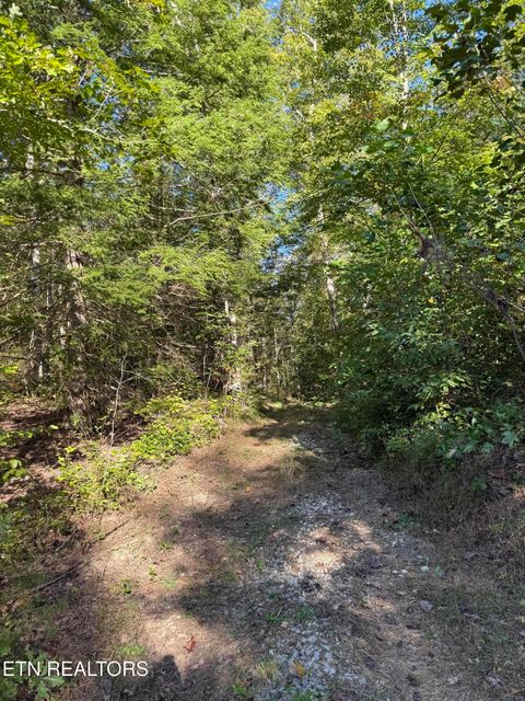 Tiny photo for 500 Armstrong Lane, Monterey, TN 38574 (MLS # 1317767)