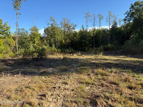 Tiny photo for 500 Armstrong Lane, Monterey, TN 38574 (MLS # 1317767)