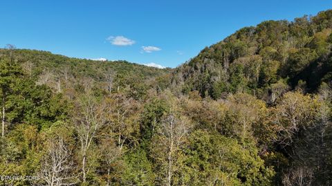 Tiny photo for 500 Armstrong Lane, Monterey, TN 38574 (MLS # 1317767)
