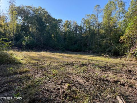 Tiny photo for 500 Armstrong Lane, Monterey, TN 38574 (MLS # 1317767)