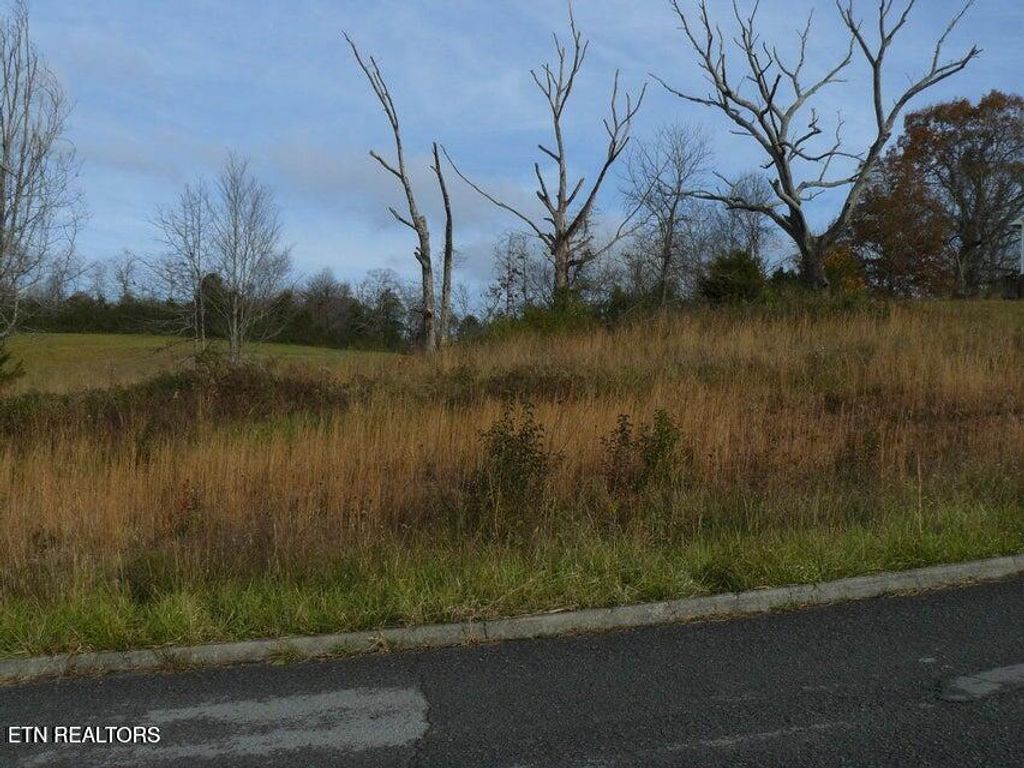 Photo of 141 Henley St, Tazewell, TN 37879 (MLS # 1341315)