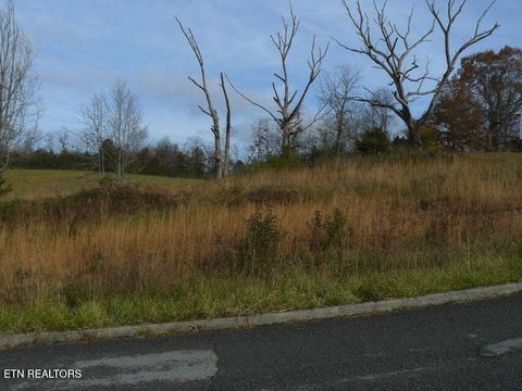 Tiny photo for 141 Henley St, Tazewell, TN 37879 (MLS # 1341315)