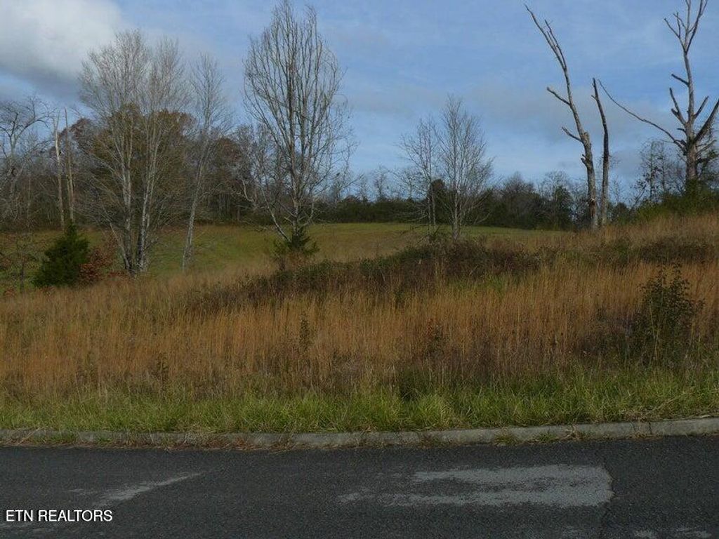 Photo of 141 Henley St, Tazewell, TN 37879 (MLS # 1341315)
