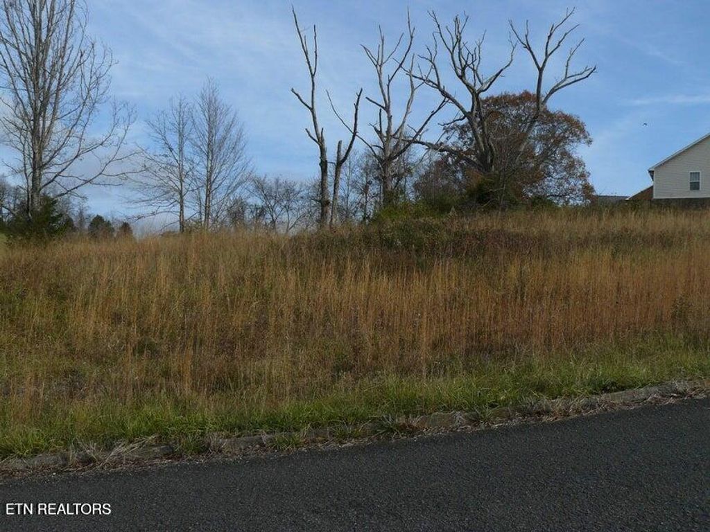 Photo of 141 Henley St, Tazewell, TN 37879 (MLS # 1341315)