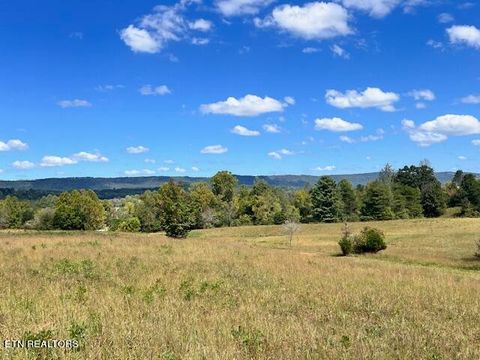 Wilderness Tr Rockwood TN 37854