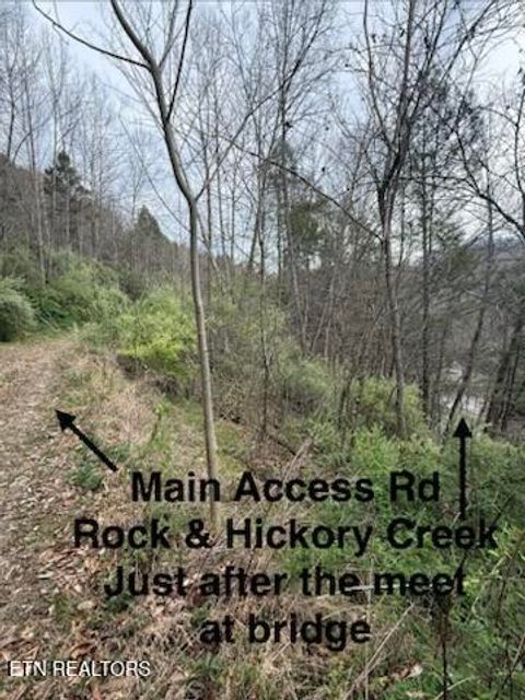 Tiny photo for 0 Hickory Creek Rd, LaFollette, TN 37766 (MLS # 1335075)