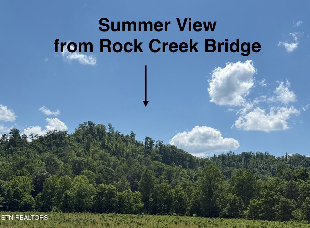 Photo of 0 Hickory Creek Rd, LaFollette, TN 37766 (MLS # 1335075)