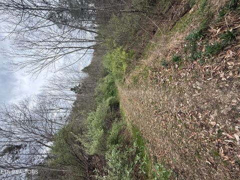 Tiny photo for 0 Hickory Creek Rd, LaFollette, TN 37766 (MLS # 1335075)