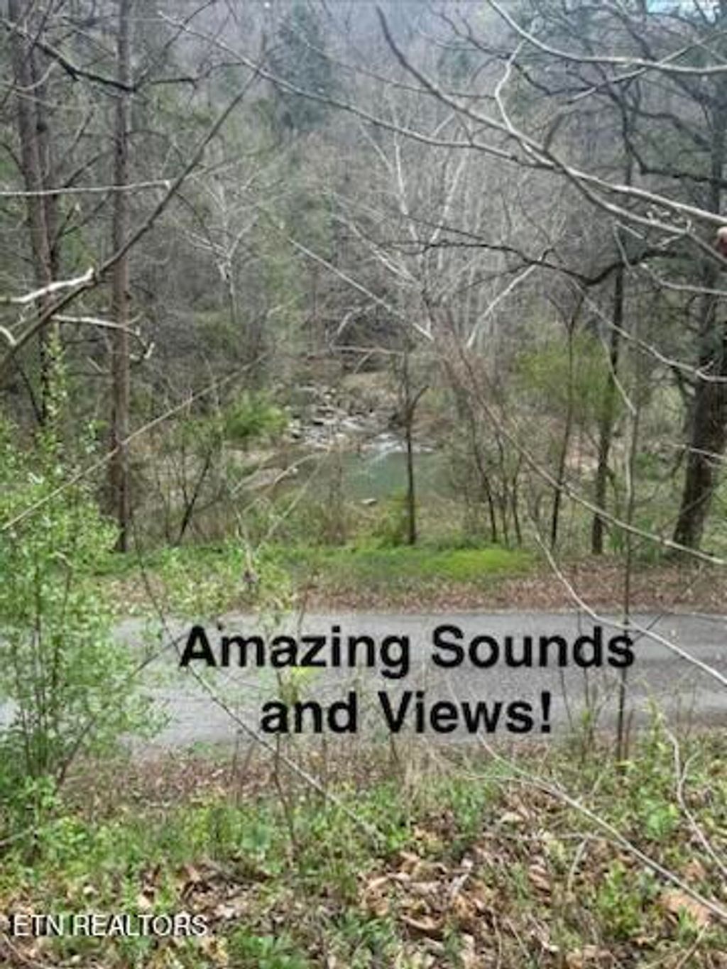 Photo of 0 Hickory Creek Rd, LaFollette, TN 37766 (MLS # 1335075)