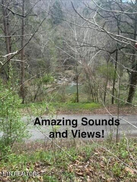 Tiny photo for 0 Hickory Creek Rd, LaFollette, TN 37766 (MLS # 1335075)