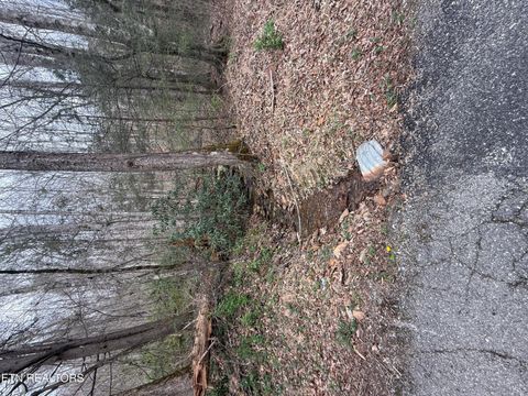 Tiny photo for 0 Hickory Creek Rd, LaFollette, TN 37766 (MLS # 1335075)