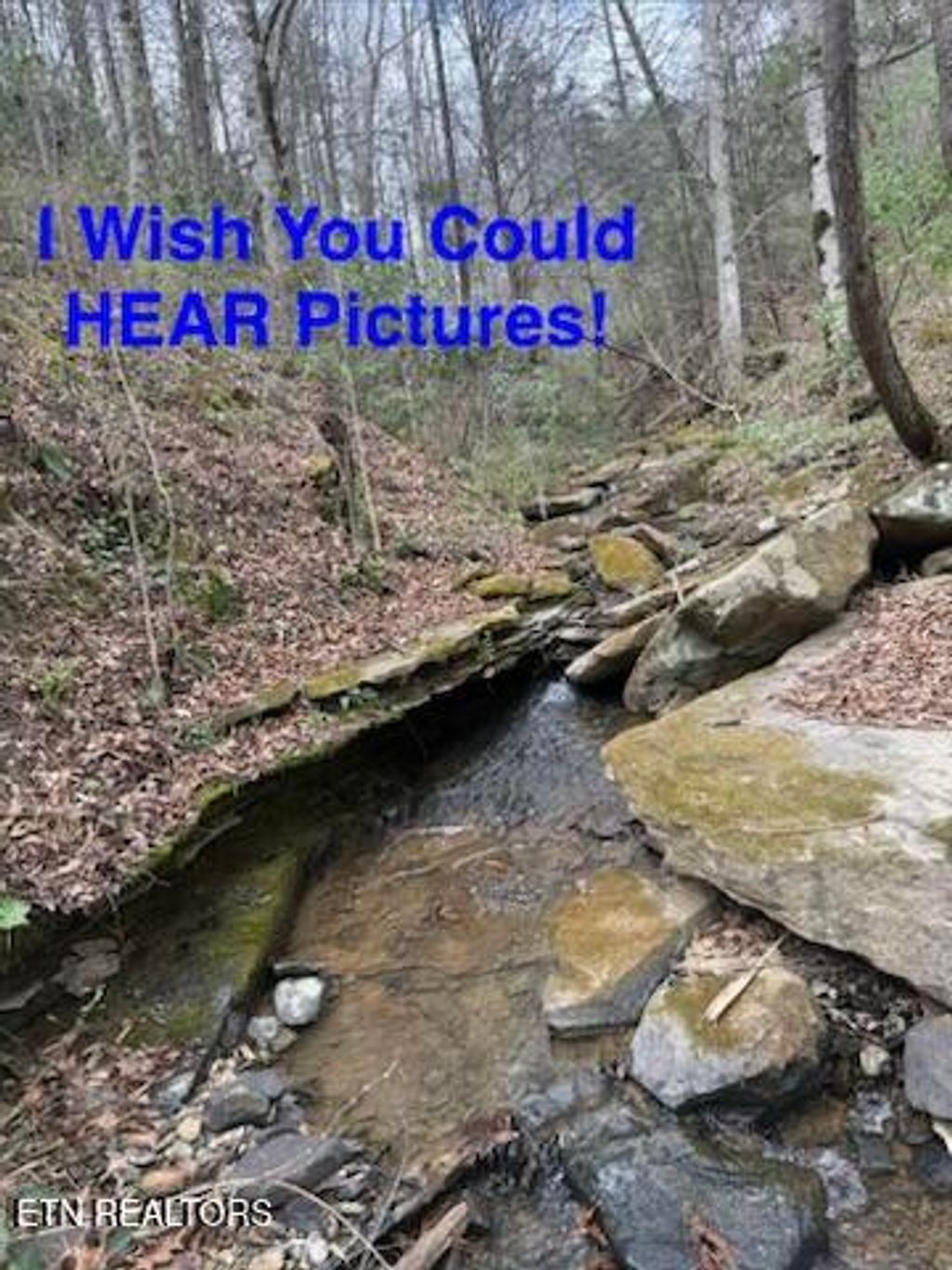 Photo of 0 Hickory Creek Rd, LaFollette, TN 37766 (MLS # 1335075)