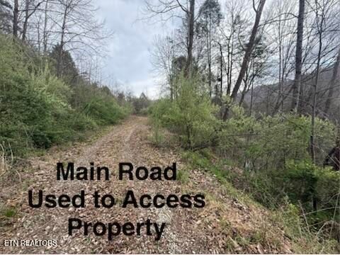 Tiny photo for 0 Hickory Creek Rd, LaFollette, TN 37766 (MLS # 1335075)