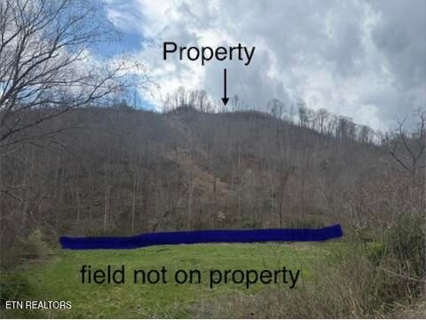 Tiny photo for 0 Hickory Creek Rd, LaFollette, TN 37766 (MLS # 1335075)