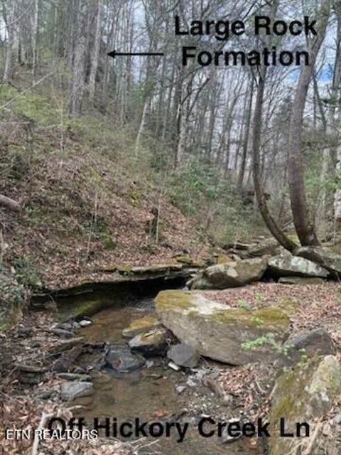 Tiny photo for 0 Hickory Creek Rd, LaFollette, TN 37766 (MLS # 1335075)
