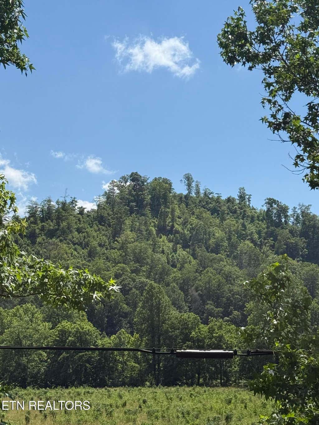 Photo of 0 Hickory Creek Rd, LaFollette, TN 37766 (MLS # 1335075)