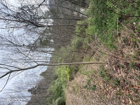 Tiny photo for 0 Hickory Creek Rd, LaFollette, TN 37766 (MLS # 1335075)