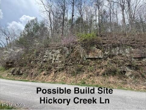 Tiny photo for 0 Hickory Creek Rd, LaFollette, TN 37766 (MLS # 1335075)