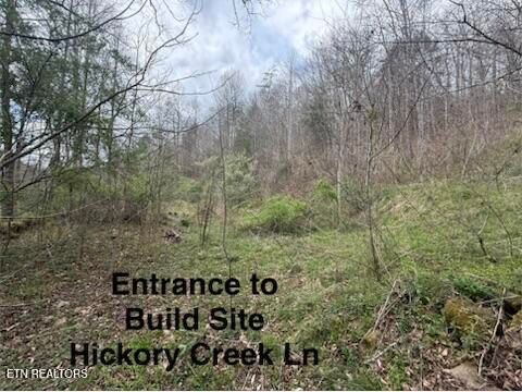 Tiny photo for 0 Hickory Creek Rd, LaFollette, TN 37766 (MLS # 1335075)
