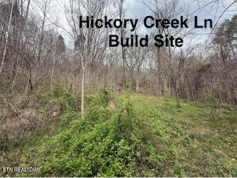 Tiny photo for 0 Hickory Creek Rd, LaFollette, TN 37766 (MLS # 1335075)