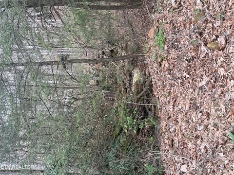 Tiny photo for 0 Hickory Creek Rd, LaFollette, TN 37766 (MLS # 1335075)