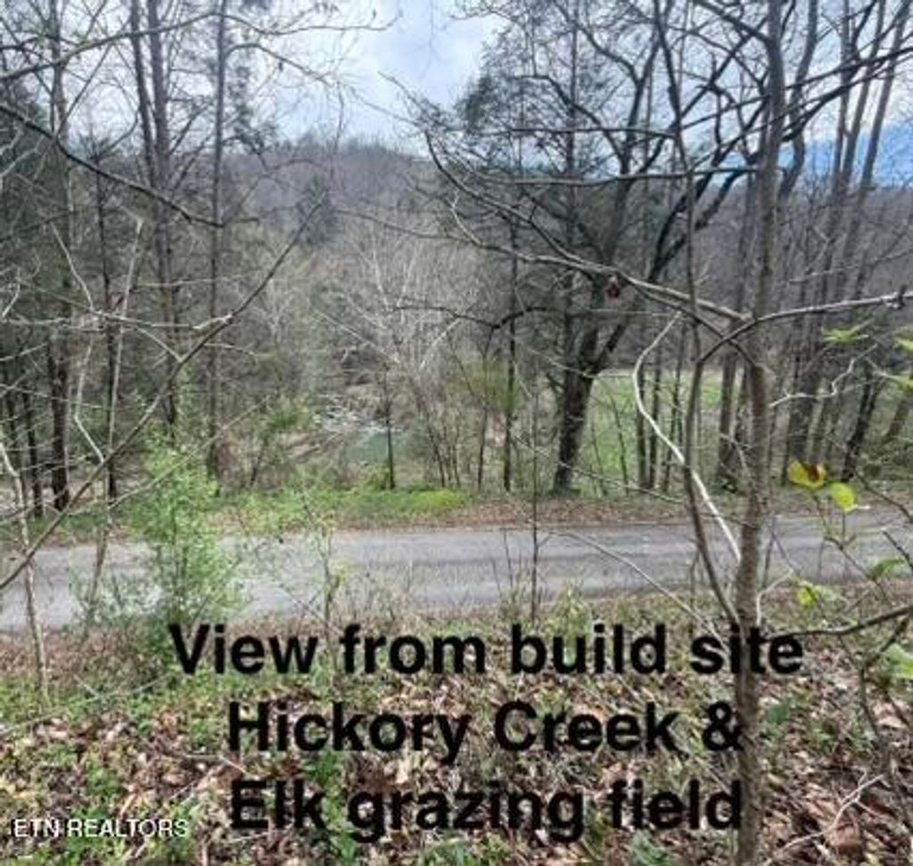 Photo of 0 Hickory Creek Rd, LaFollette, TN 37766 (MLS # 1335075)