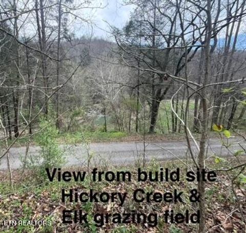Photo of 0 Hickory Creek Rd, LaFollette, TN 37766 (MLS # 1335075)