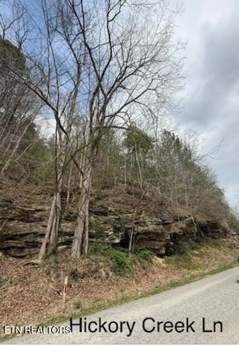 Tiny photo for 0 Hickory Creek Rd, LaFollette, TN 37766 (MLS # 1335075)
