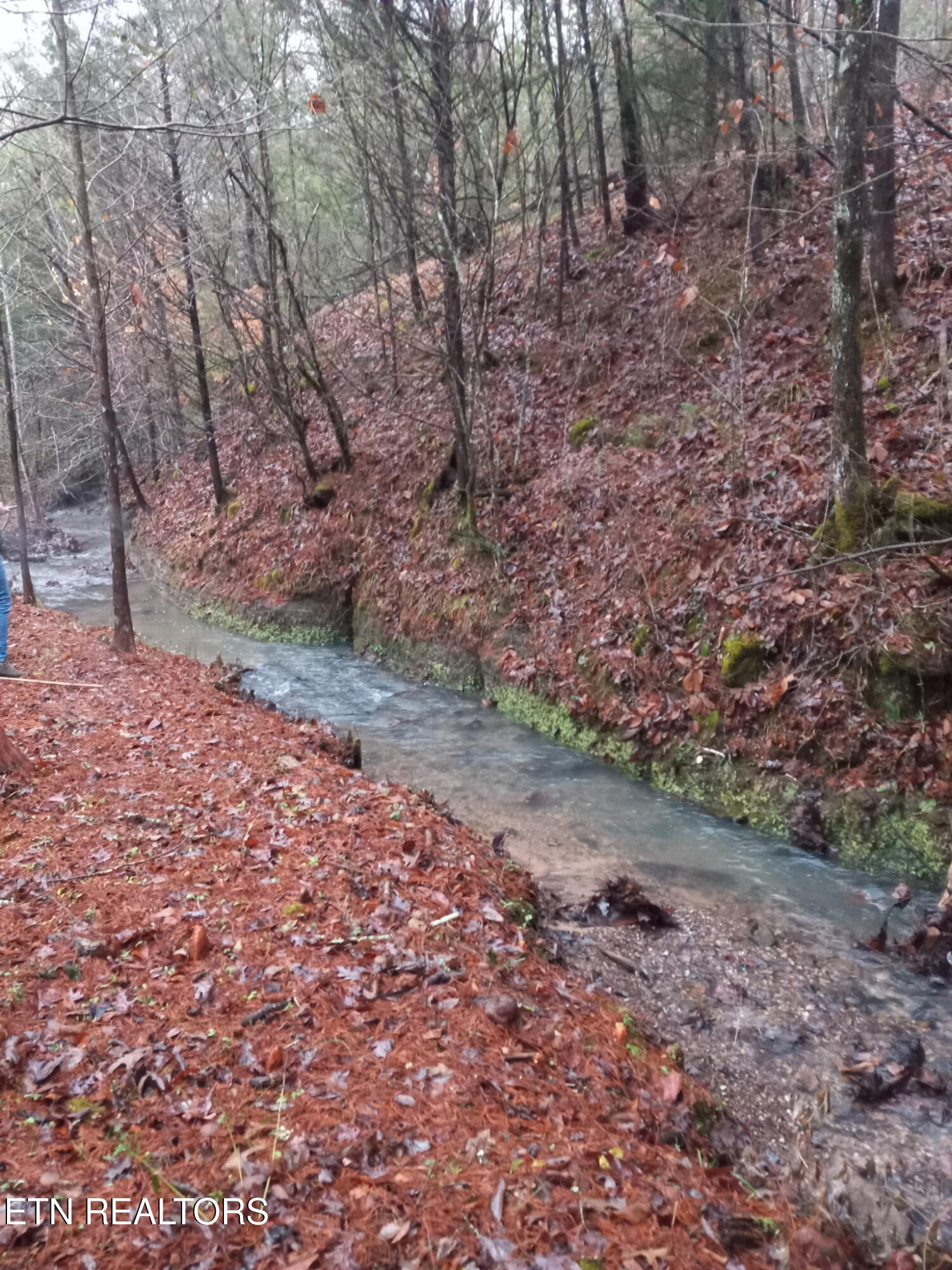311 Laurel Mountain Loop