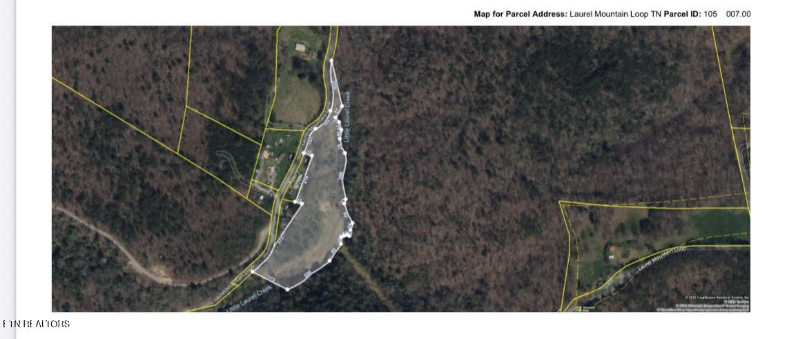 311 Laurel Mountain Loop
