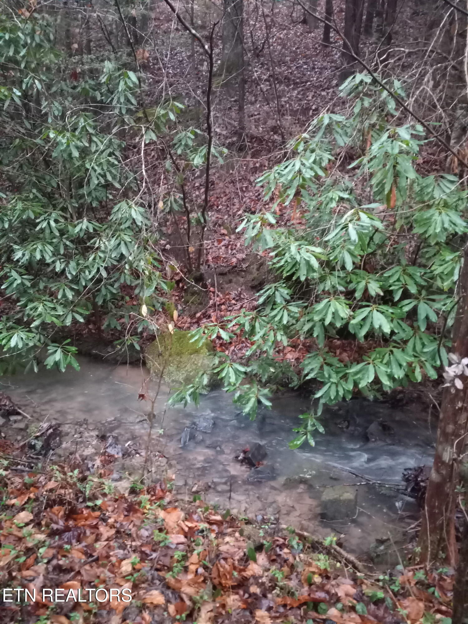 311 Laurel Mountain Loop