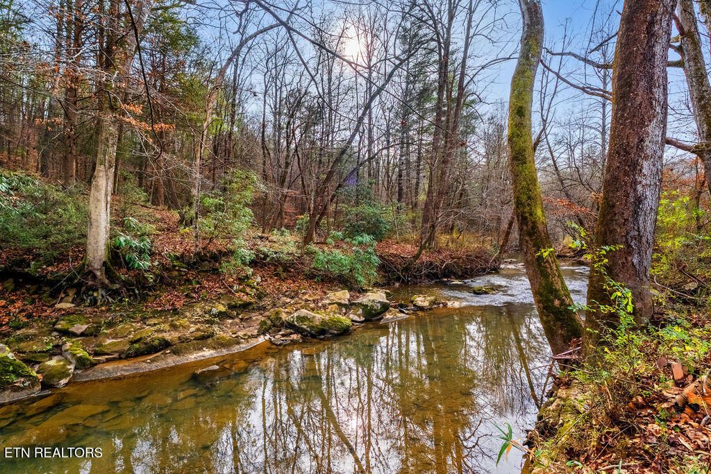 Photo of 169 Adcock Hollow Rd, Harriman, TN 37748 (MLS # 1323412)