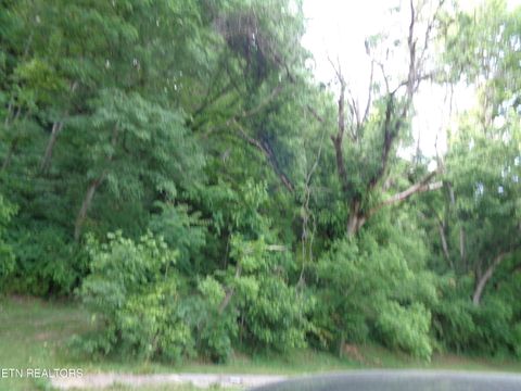 Tiny photo for 0 Kyles Ford RD Rd, Kyles Ford, TN 37765 (MLS # 1341549)