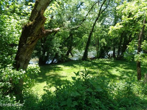 Tiny photo for 0 Kyles Ford RD Rd, Kyles Ford, TN 37765 (MLS # 1341549)