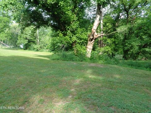 Tiny photo for 0 Kyles Ford RD Rd, Kyles Ford, TN 37765 (MLS # 1341549)