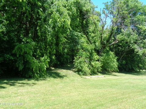 Tiny photo for 0 Kyles Ford RD Rd, Kyles Ford, TN 37765 (MLS # 1341549)