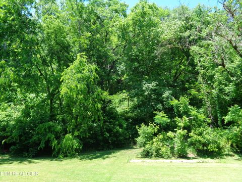 Tiny photo for 0 Kyles Ford RD Rd, Kyles Ford, TN 37765 (MLS # 1341549)
