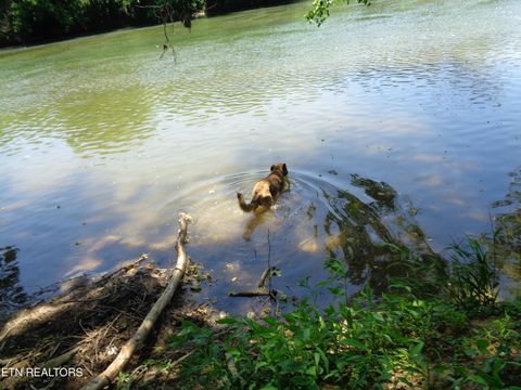 Tiny photo for 0 Kyles Ford RD Rd, Kyles Ford, TN 37765 (MLS # 1341549)
