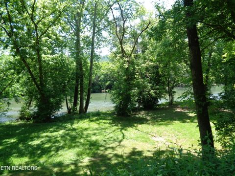 Tiny photo for 0 Kyles Ford RD Rd, Kyles Ford, TN 37765 (MLS # 1341549)