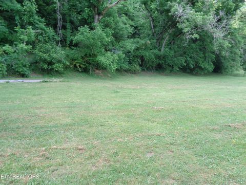Tiny photo for 0 Kyles Ford RD Rd, Kyles Ford, TN 37765 (MLS # 1341549)