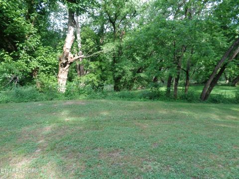 Tiny photo for 0 Kyles Ford RD Rd, Kyles Ford, TN 37765 (MLS # 1341549)