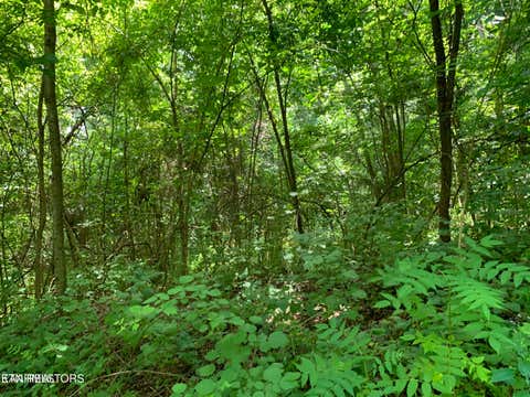 Photo of Cavalry Rd, New Tazewell, TN 37825 (MLS # 1348265)
